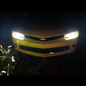 Meet your Posher, Jackson